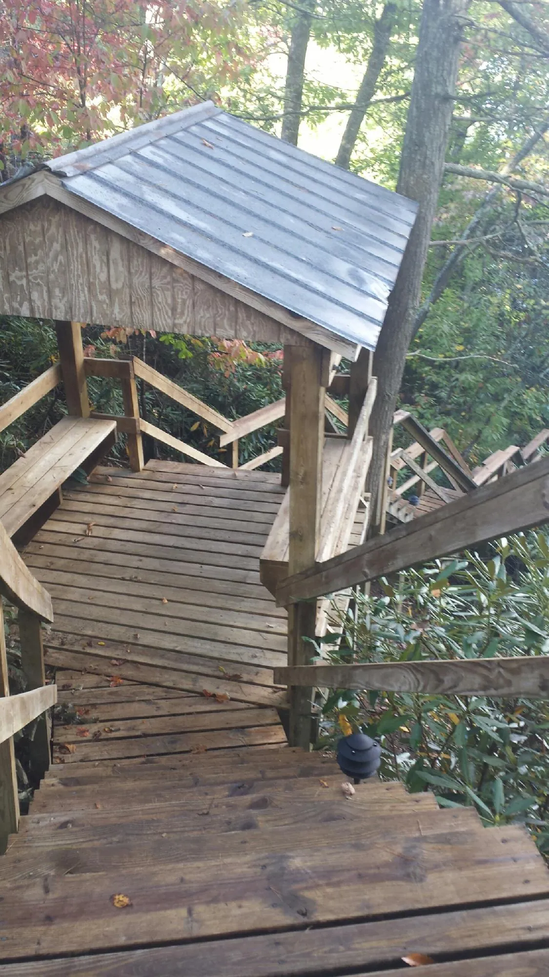 Metal roofed shelter over wooden steps on a wooded walkway — Skylight Repair & Installation work by our crew in La Honda